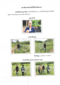 สถานีเพาะชำกล้าไม้จังหวัดตราด-แปลงปลูก59 แปลงที่ 9