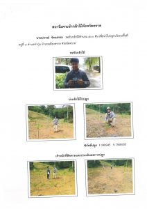 สถานีเพาะชำกล้าไม้จังหวัดตราด-แปลงปลูก59 แปลงที่ 11