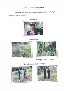 สถานีเพาะชำกล้าไม้จังหวัดตราด-แปลงปลูก59 แปลงที่ 12