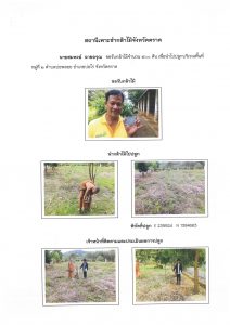 สถานีเพาะชำกล้าไม้จังหวัดตราด-แปลงปลูก59 แปลงที่ 13