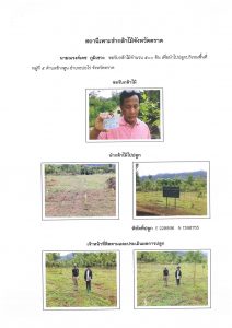 สถานีเพาะชำกล้าไม้จังหวัดตราด-แปลงปลูก59 แปลงที่ 14