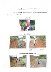 สถานีเพาะชำกล้าไม้จังหวัดตราด-แปลงปลูก59 แปลงที่ 15