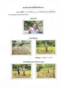 สถานีเพาะชำกล้าไม้จังหวัดตราด-แปลงปลูก59 แปลงที่ 16