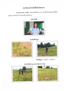 สถานีเพาะชำกล้าไม้จังหวัดตราด-แปลงปลูก59 แปลงที่ 18