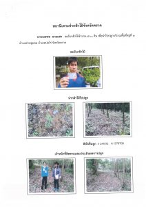 สถานีเพาะชำกล้าไม้จังหวัดตราด-แปลงปลูก59 แปลงที่ 19