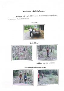 สถานีเพาะชำกล้าไม้จังหวัดตราด-แปลงปลูก59 แปลงที่ 20