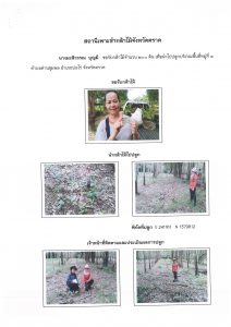สถานีเพาะชำกล้าไม้จังหวัดตราด-แปลงปลูก59 แปลงที่ 21