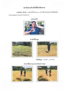 สถานีเพาะชำกล้าไม้จังหวัดตราด-แปลงปลูก59 แปลงที่ 23