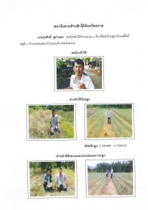 สถานีเพาะชำกล้าไม้จังหวัดตราด-แปลงปลูก59 แปลงที่ 24