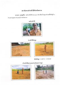 สถานีเพาะชำกล้าไม้จังหวัดตราด-แปลงปลูก59 แปลงที่ 26