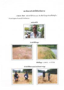 สถานีเพาะชำกล้าไม้จังหวัดตราด-แปลงปลูก59 แปลงที่ 27