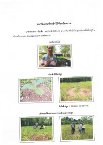 สถานีเพาะชำกล้าไม้จังหวัดตราด-แปลงปลูก59 แปลงที่ 30