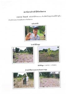 สถานีเพาะชำกล้าไม้จังหวัดตราด-แปลงปลูก59 แปลงที่ 31