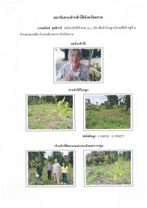 สถานีเพาะชำกล้าไม้จังหวัดตราด-แปลงปลูก59 แปลงที่ 32