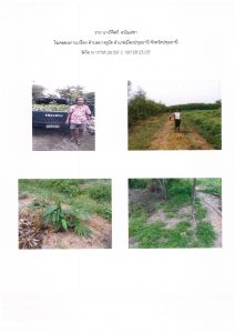 สถานีเพาะชำกล้าไม้จังหวัดนนทบุรี- แปลงปลูกต้นไม้59 แปลงที่ 1