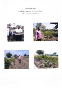 สถานีเพาะชำกล้าไม้จังหวัดนนทบุรี- แปลงปลูกต้นไม้59 แปลงที่ 2