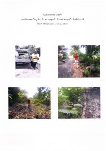 สถานีเพาะชำกล้าไม้จังหวัดนนทบุรี- แปลงปลูกต้นไม้59 แปลงที่ 3