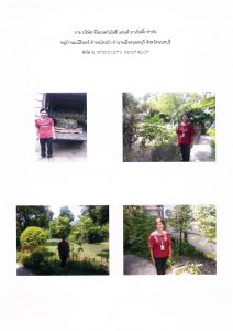 สถานีเพาะชำกล้าไม้จังหวัดนนทบุรี- แปลงปลูกต้นไม้59 แปลงที่ 4