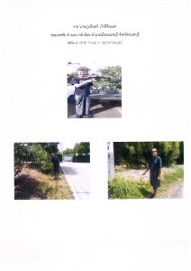 สถานีเพาะชำกล้าไม้จังหวัดนนทบุรี- แปลงปลูกต้นไม้59 แปลงที่ 5