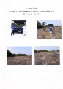 สถานีเพาะชำกล้าไม้จังหวัดนนทบุรี- แปลงปลูกต้นไม้59 แปลงที่ 7