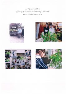 สถานีเพาะชำกล้าไม้จังหวัดนนทบุรี- แปลงปลูกต้นไม้59 แปลงที่ 8