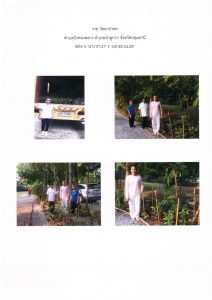 สถานีเพาะชำกล้าไม้จังหวัดนนทบุรี- แปลงปลูกต้นไม้59 แปลงที่ 9