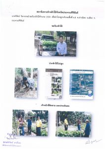 สถานีเพาะชำกล้าไม้จังหวัดประจวบคีรีขันธ์-แปลงปลูกต้นไม้59 แปลงที่ 1