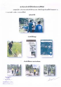 สถานีเพาะชำกล้าไม้จังหวัดประจวบคีรีขันธ์-แปลงปลูกต้นไม้59 แปลงที่ 3