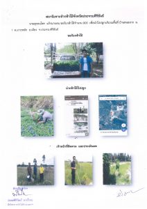 สถานีเพาะชำกล้าไม้จังหวัดประจวบคีรีขันธ์-แปลงปลูกต้นไม้59 แปลงที่ 4