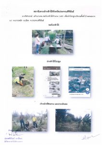 สถานีเพาะชำกล้าไม้จังหวัดประจวบคีรีขันธ์-แปลงปลูกต้นไม้59 แปลงที่ 5