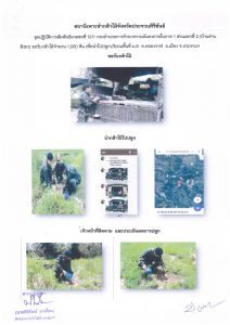 สถานีเพาะชำกล้าไม้จังหวัดประจวบคีรีขันธ์-แปลงปลูกต้นไม้59 แปลงที่ 6