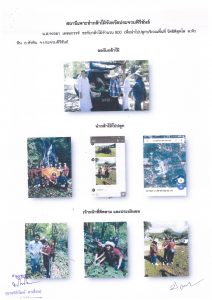 สถานีเพาะชำกล้าไม้จังหวัดประจวบคีรีขันธ์-แปลงปลูกต้นไม้59 แปลงที่ 8