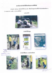 สถานีเพาะชำกล้าไม้จังหวัดประจวบคีรีขันธ์-แปลงปลูกต้นไม้59 แปลงที่ 10