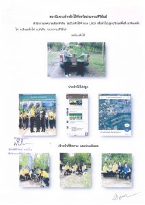 สถานีเพาะชำกล้าไม้จังหวัดประจวบคีรีขันธ์-แปลงปลูกต้นไม้59 แปลงที่ 11