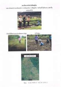 สถานีเพาะชำกล้าไม้จังหวัดพิษณุโลก-แปลงปลูกต้นไม้59 แปลงที่ 1