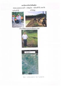 สถานีเพาะชำกล้าไม้จังหวัดพิษณุโลก-แปลงปลูกต้นไม้59 แปลงที่ 2