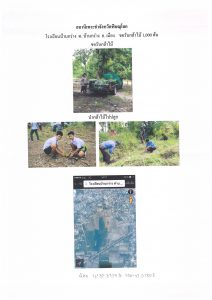 สถานีเพาะชำกล้าไม้จังหวัดพิษณุโลก-แปลงปลูกต้นไม้59 แปลงที่ 3