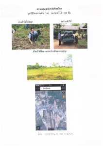 สถานีเพาะชำกล้าไม้จังหวัดพิษณุโลก-แปลงปลูกต้นไม้59 แปลงที่ 4