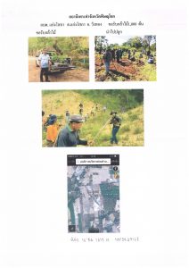 สถานีเพาะชำกล้าไม้จังหวัดพิษณุโลก-แปลงปลูกต้นไม้59 แปลงที่ 5