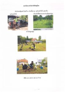 สถานีเพาะชำกล้าไม้จังหวัดพิษณุโลก-แปลงปลูกต้นไม้59 แปลงที่ 7