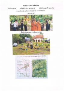 สถานีเพาะชำกล้าไม้จังหวัดพิษณุโลก-แปลงปลูกต้นไม้59 แปลงที่ 8