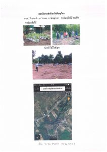 สถานีเพาะชำกล้าไม้จังหวัดพิษณุโลก-แปลงปลูกต้นไม้59 แปลงที่ 9