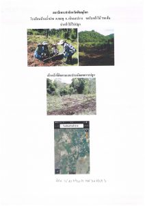 สถานีเพาะชำกล้าไม้จังหวัดพิษณุโลก-แปลงปลูกต้นไม้59 แปลงที่ 10