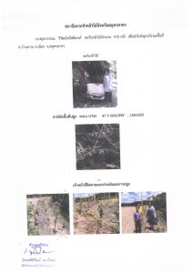 สถานีเพาะชำกล้าไม้จังหวัดสมุทรสาคร-แปลงปลูกต้นไม้59 แปลงที่ 1สถานีเพาะชำกล้าไม้จังหวัดสมุทรสาคร-แปลงปลูกต้นไม้59 แปลงที่ 3