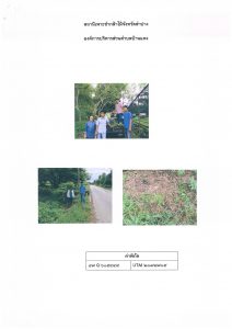 สถานีเพาะชำกล้าไม้จังหวัดลำปาง-แปลงปลูก59 แปลงที่ 3