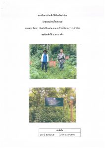 สถานีเพาะชำกล้าไม้จังหวัดลำปาง-แปลงปลูก59 แปลงที่ 4