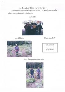 สถานีเพาะชำกล้าไม้สบปราบ จังหวัดลำปาง-แปลงปลูก59 แปลงที่ 1