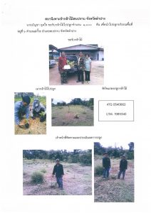 สถานีเพาะชำกล้าไม้สบปราบ จังหวัดลำปาง-แปลงปลูก59 แปลงที่ 2