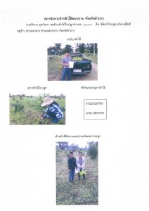 สถานีเพาะชำกล้าไม้สบปราบ จังหวัดลำปาง-แปลงปลูก59 แปลงที่ 3