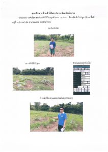 สถานีเพาะชำกล้าไม้สบปราบ จังหวัดลำปาง-แปลงปลูก59 แปลงที่ 4